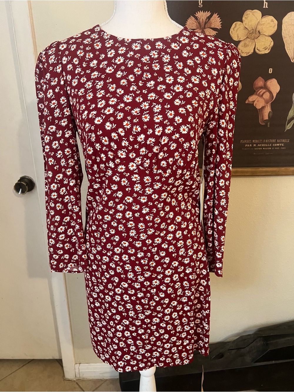 Reformation Brantley Dress in Cari, Burgundy Daisy Floral